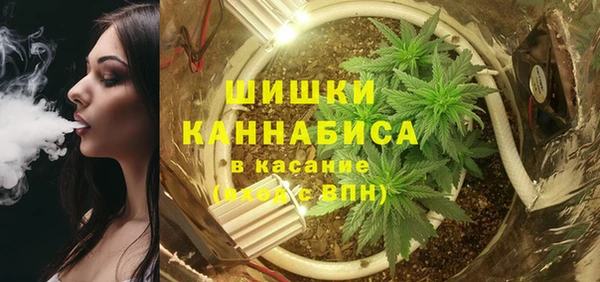 ALPHA PVP Гусев