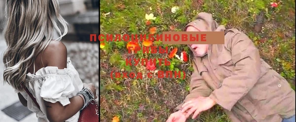 mix Горняк