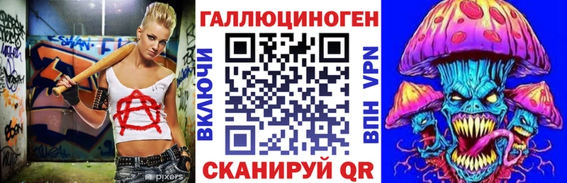Псилоцибиновые грибы Psilocybe  Купить  Кириллов 